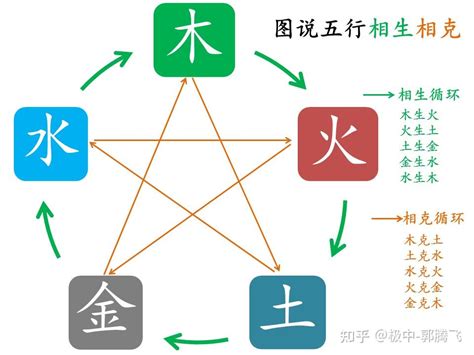 土克木|郭极中：解析五行（木、火、土、金、水）相克的理论。